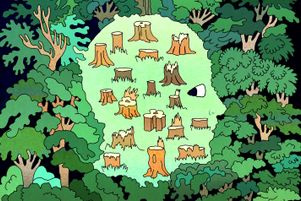 Disparitions de bois, coupes rases : enquête sur les vols de forêts françaises.