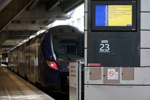 La SNCF Voyageurs a été reconnue coupable de « négligence » dans l’affaire du chat écrasé par un TGV en gare de Montparnasse et condamnée mardi 4 juillet à une amende de 1 000 €.