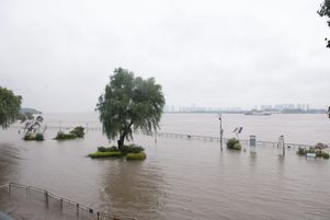Un parc submergé par le fleuve Yangtze, à Nankin, dans l’est de la Chine, le 2 juillet 2024.